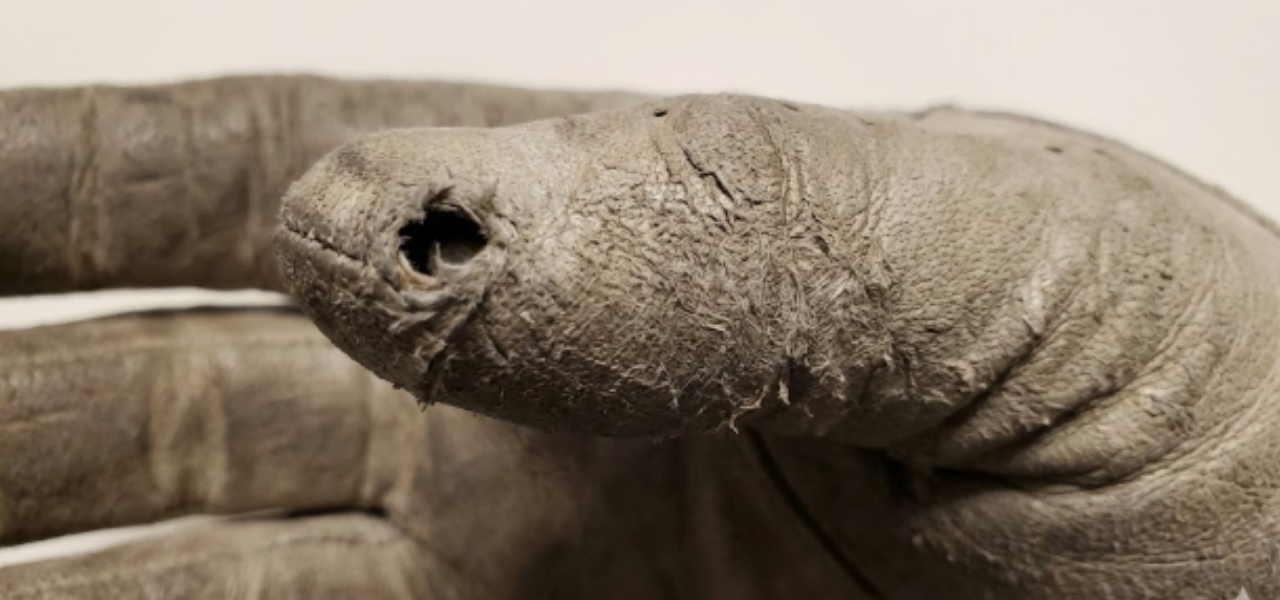 指先の穴や表面の毛羽立ちは即交換のサイン